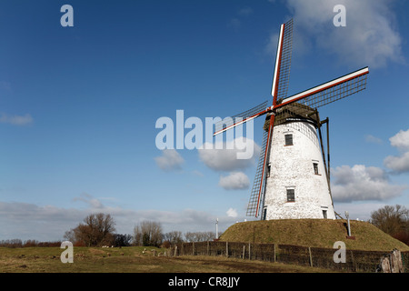 Il mulino a vento, Schellemolen dal 1867, Damme, Fiandre Occidentali, Belgio, Europa Foto Stock