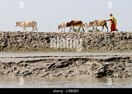 Bangladesh , villaggio Kalabogi presso il river Shibsha vicino alla baia del Bengala, i popoli sono i più colpiti dal cambiamento climatico Foto Stock