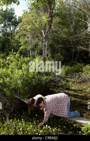 Madre e figlia in ginocchio sul Boardwalk in foresta Foto Stock