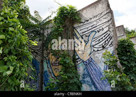 Incolto i resti del muro di Berlino coperto di graffiti, Memoriale del Muro di Berlino, Bernauer Strasse, quartiere Mitte di Berlino Foto Stock