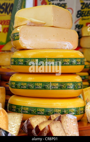 Beemster Graskaas dalla primavera del latte, formaggio Olandese per la vendita di Middelburg, Walcheren, Zeeland, Holland, Paesi Bassi, Europa Foto Stock