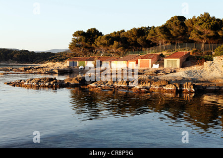 Mediterraneo costa rocciosa nella luce della sera, capo di Cap Bénat, Bregançon, Bormes les Mimosas, Provence-Alpes-Côte d'Azur Foto Stock