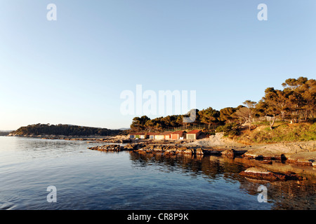 Mediterraneo costa rocciosa nella luce della sera, capo di Cap Bénat, Bregançon, Bormes les Mimosas, Provence-Alpes-Côte d'Azur Foto Stock