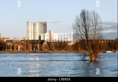 Rive del Reno con la Sky Office tower building, l'acqua alta in inverno a Duesseldorf in Renania settentrionale-Vestfalia Foto Stock