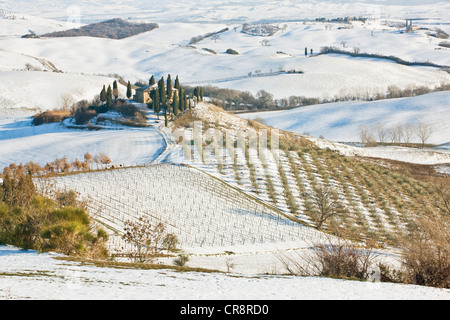 Podere Belvedere in inverno, San Quirico d'Orcia, Toscana, Italia, Europa, PublicGround Foto Stock