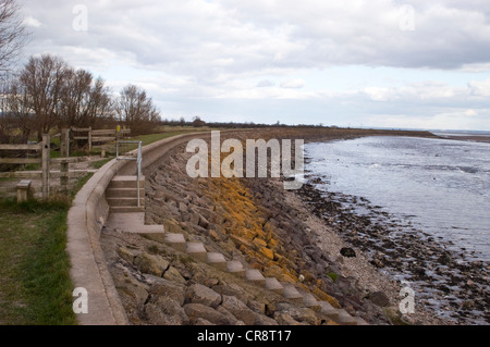 Parete di mare a Goldcliff, vicino a Newport, Foto Stock