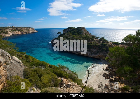 Cala S'Amonia, Maiorca, isole Baleari, Spagna, Europa Foto Stock