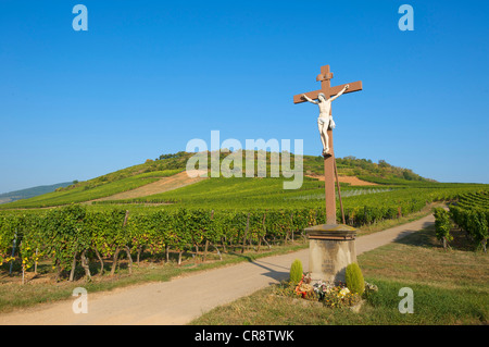 Edicola croce nei vigneti vicino a Kaysersberg, Alsazia, Francia, Europa Foto Stock