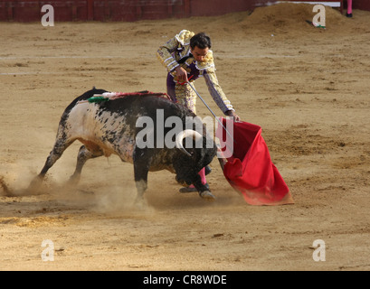 La corrida in Jerez de la Frontera in Spagna Foto Stock