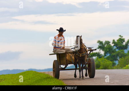 Carrello asino sulla strada, Vinales Valley, Cuba Foto Stock