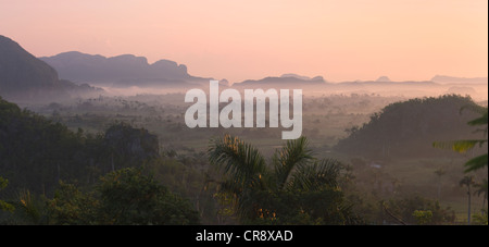 Colline calcaree, terreni agricoli e Palm tree forest nella nebbia mattutina, Vinales Valley, sito Patrimonio Mondiale dell'UNESCO, Cuba Foto Stock