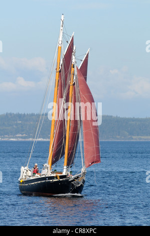 Barca a vela, Port Townsend Imbarcazione in legno Festival, Port Townsend, Washington, Stati Uniti d'America Foto Stock