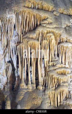 Calcite flowstone formazione nella camera grande parco nazionale di Carlsbad Cavern, Nuovo Messico, STATI UNITI D'AMERICA Foto Stock