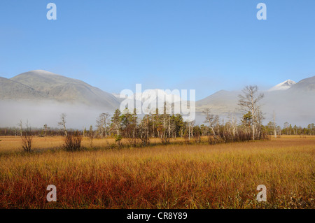 Paesaggio palustre ai piedi delle montagne Rondane, Norvegia, Europa Foto Stock