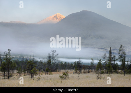 Paesaggio palustre ai piedi delle montagne Rondane, Rondane National Park, Norvegia, Europa Foto Stock