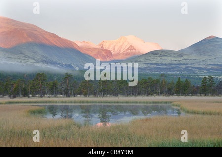 Paesaggio palustre ai piedi delle montagne Rondane, Rondane National Park, Norvegia, Europa Foto Stock