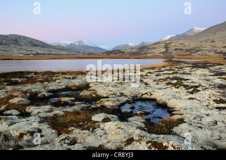 Lago vicino Doralstjornin Doralseter capanna, Rondane National Park, Norvegia, Europa Foto Stock