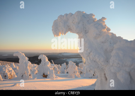 Coperte di neve abeti rossi sul Brocken Mountain, Sassonia-Anhalt, Germania, Europa Foto Stock