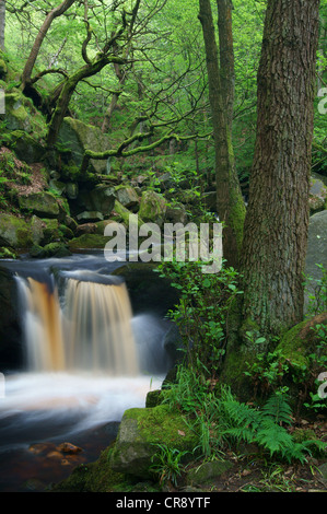 UK,Derbyshire,Peak District,Burbage ruscello che scorre attraverso la gola Padley Foto Stock