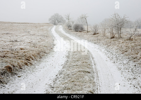 Agriturismo via in inverno, Harz mountain range, Sassonia-Anhalt, Germania, Europa Foto Stock