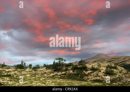 Dawn, Fjell paesaggio vicino Bjørnhollia nel Rondane National Park, Norvegia, Scandinavia, Europa Foto Stock