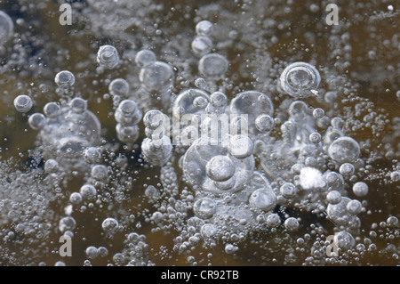 Le bolle di aria nel ghiaccio Foto Stock