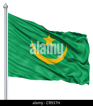 Bandiera della Mauritania con pennone sventolare nel vento contro uno sfondo bianco Foto Stock