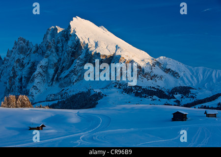 Paesaggio invernale sull Alpe di Siusi prati alpini, Alto Adige, Italia, Europa Foto Stock