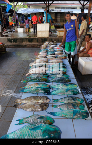 Isola di Papua pescivendoli vendono pesci corallini o wrasse al mercato del pesce in Kota Biak, isola di Biak, Papua occidentale, in Indonesia Foto Stock