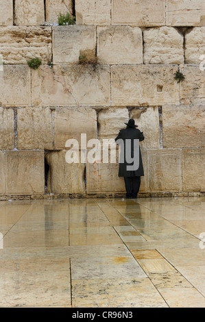 Ebreo ortodosso la preghiera al Muro del Pianto, la città vecchia di Gerusalemme, Israele, Medio Oriente Foto Stock