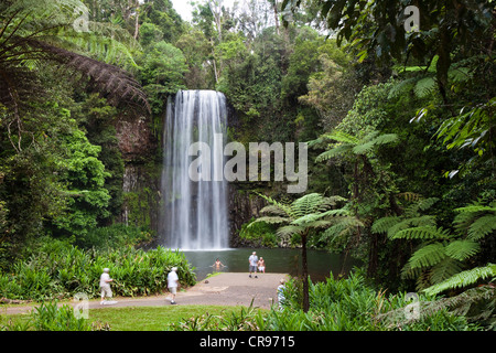 Millaa Millaa cade in una foresta pluviale, Cascata circuito, altopiano di Atherton, Queensland, Australia Foto Stock