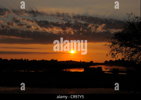 Sunrise, il Delta del Danubio, Romania, Europa Foto Stock