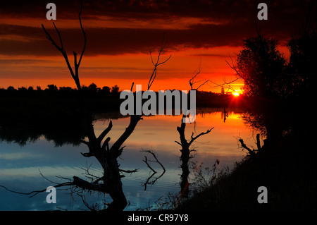 Sunrise, il Delta del Danubio, Romania, Europa Foto Stock