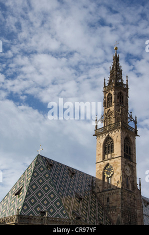 Assunzione della Beata Vergine Maria cattedrale nel centro storico di Bolzano, Bolzano, Alto Adige, Italia, Europa Foto Stock