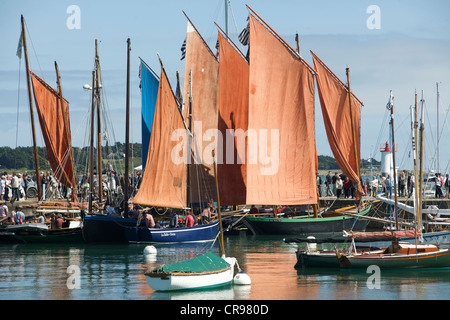 Vecchie barche a vela nel porto di La Trinite-sur-Mer, regata vecchie navi a vela, Bretagna, Francia, Europa Foto Stock