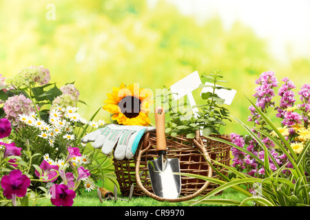 Outdoor utensili da giardinaggio e fiori Foto Stock