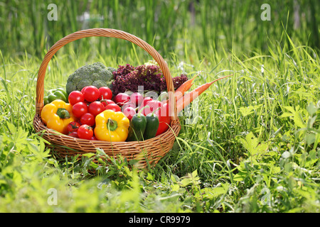 Cesto pieno di verdura biologica sull'erba verde. Foto Stock