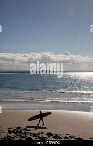 Silhouette di un surfista che trasportano le tavole da surf in spiaggia, Sunshine Coast, Brisbane, Queensland, Australia Foto Stock