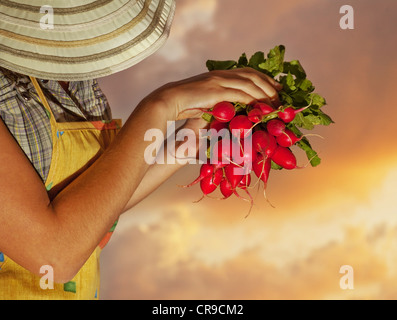 Vecchia donna giardiniere, senior lady crescente verde biologico di frutta e verdura, giardino estivo, pensionati di uno stile di vita attivo Foto Stock