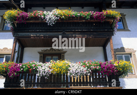 Austria, Mutters, Tirolo austriaco, casa tradizionale con fioriera windows come può essere visto in tutta l'Austria. Foto Stock