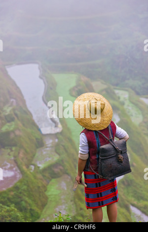 Igorot donna tribale con terrazze di riso della Cordigliera filippina, Banaue, Ifugao Provincia, Filippine Foto Stock