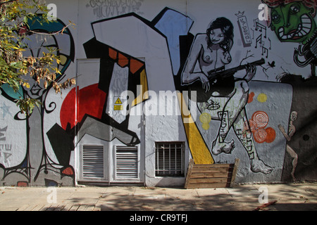 Arte di strada nel quartiere Palermo di Buenos Aires, Argentina. Foto Stock