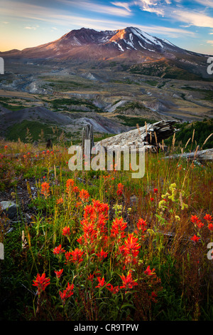 Il Monte Sant Helens National Volcanic Monument Foto Stock