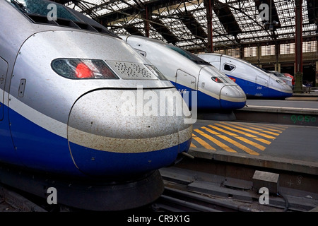 Francese TGV il treno ad alta velocità nella stazione Gare de Lyon, Paris, Francia. Foto Stock