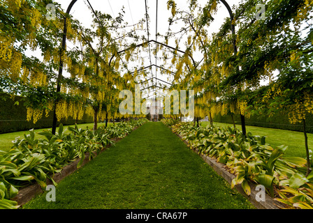 Nuova Zelanda Otago penisola a sud isola Lanark Giardini di Castello il Maggiociondolo arch Foto Stock