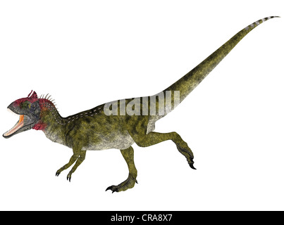 Illustrazione di un Cryolophosaurus (specie di dinosauro) isolato su sfondo bianco Foto Stock