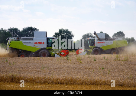 Due le trebbiatrici mietitrebbia si incontrano durante la mietitura del grano in dechow, regione schalsee, Meclemburgo-Pomerania occidentale, Germania, Europa Foto Stock