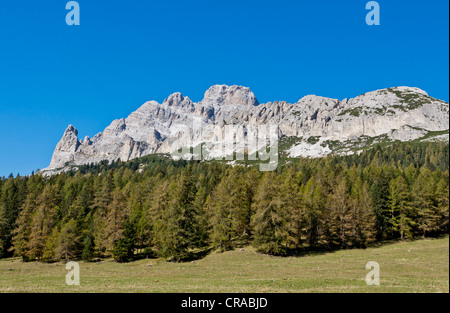 Tre Cime di Lavaredo o Drei Zinnen area, Dolomiti di Sesto, Italia, Europa Foto Stock