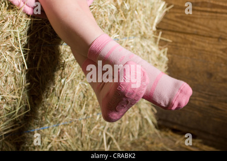 Ragazza, dettaglio, calze, nella stalla Foto Stock