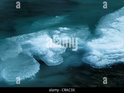 Gelido fiume Argen in Eistobel gorge, Maierhoefen, Baviera, Germania, Europa Foto Stock